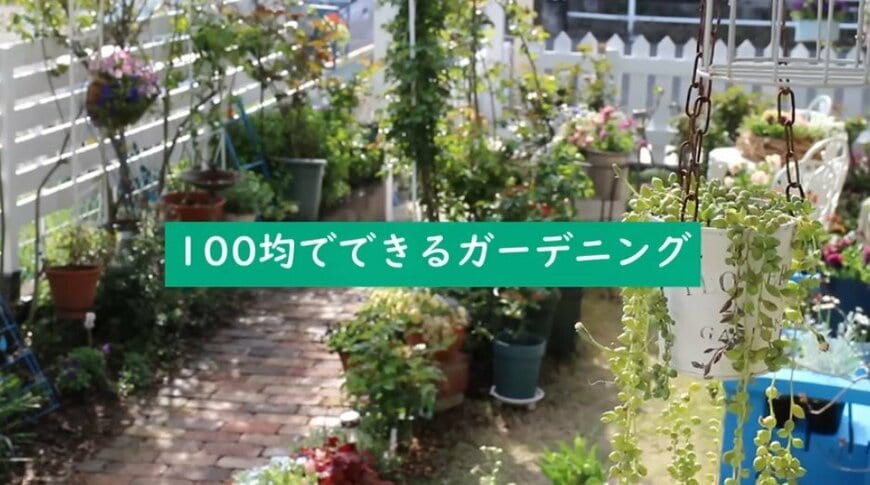 【お金をかけない庭づくり】100均アイテムを使った《簡単リメイク術》3選でおしゃれガーデニング