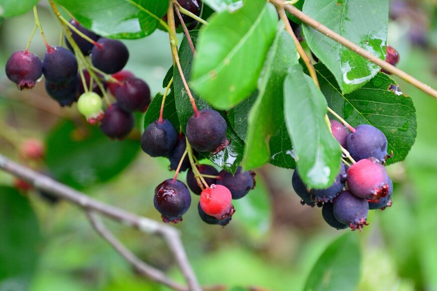 High Mountain/shutterstock.com