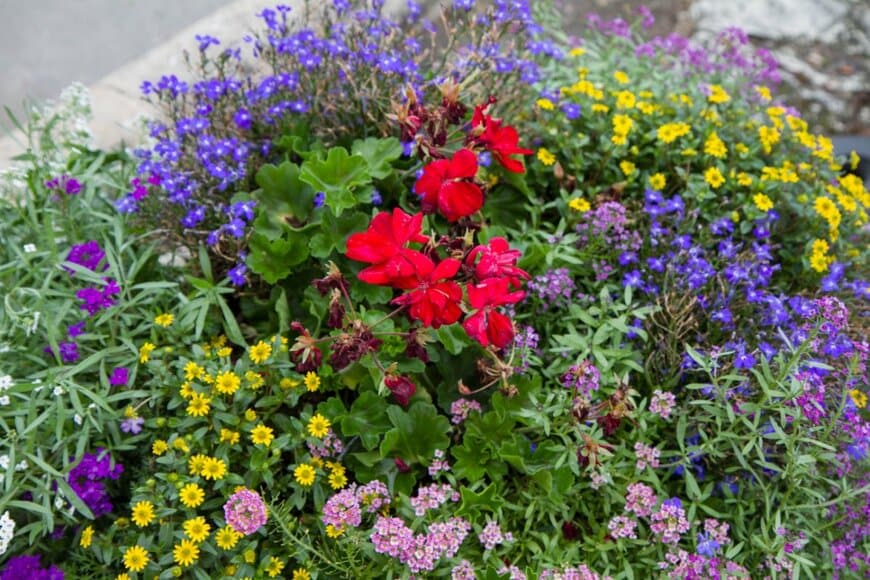 Aleksandra Duda/shutterstock.com