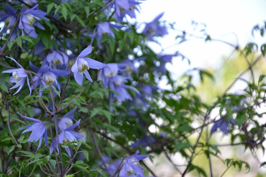 Tatiana Cherneva/istockphoto.com 