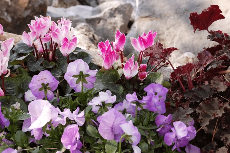 dragunoff/istockphoto.com