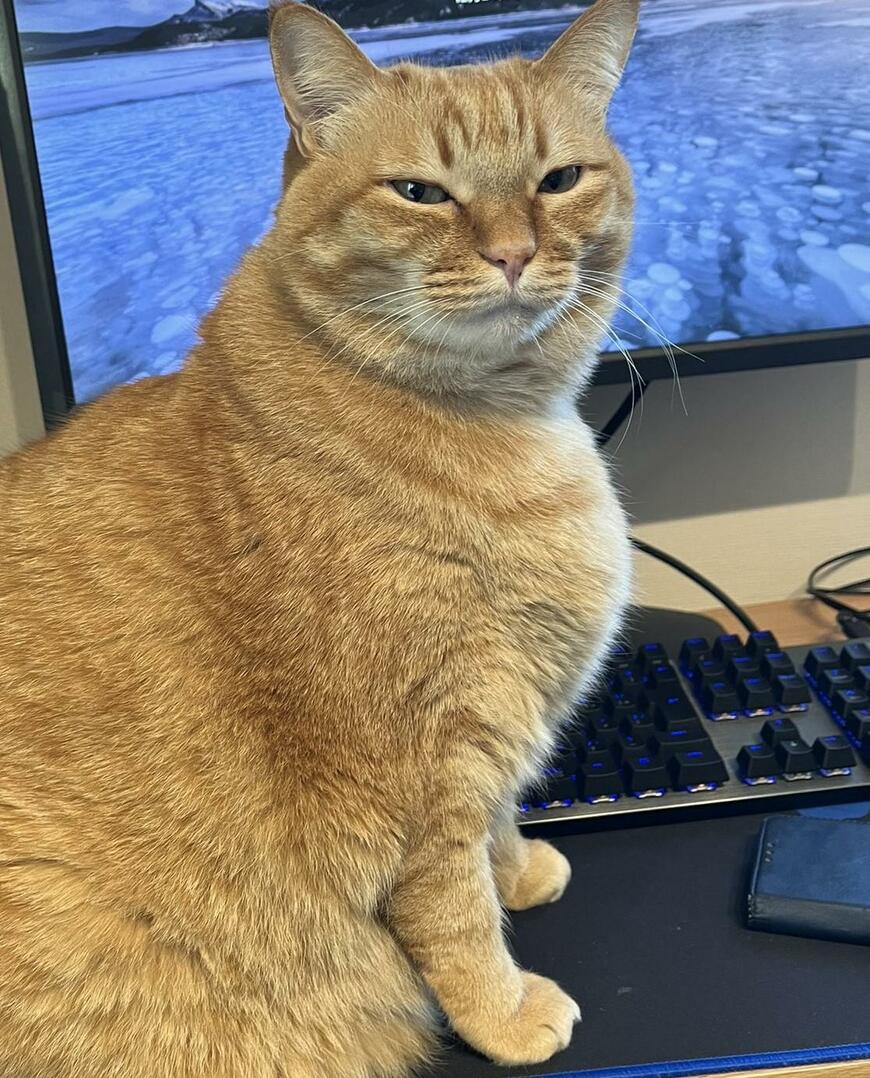 出所：@kagisuzu0531