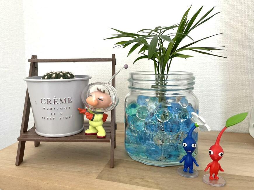 インテリア2段棚　ブラウン、ブリキポット、2号観葉サボテンアソート