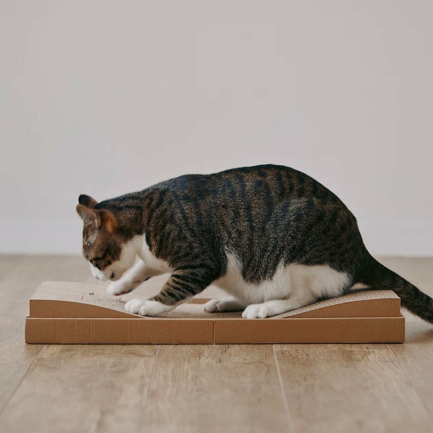 無印良品公式　ダンボール　爪とぎベッド　画像