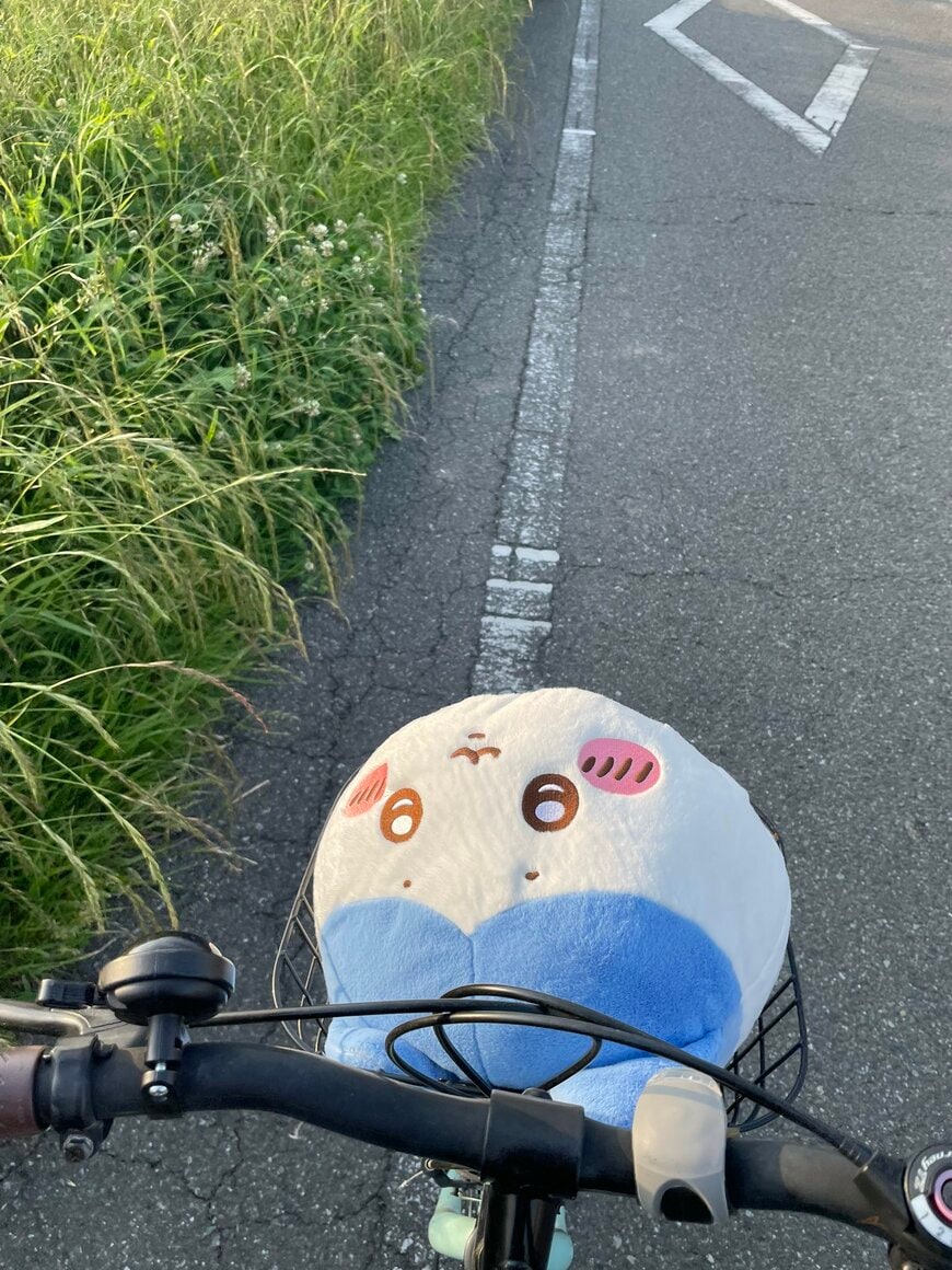 嬉しそうな表情のハチワレ