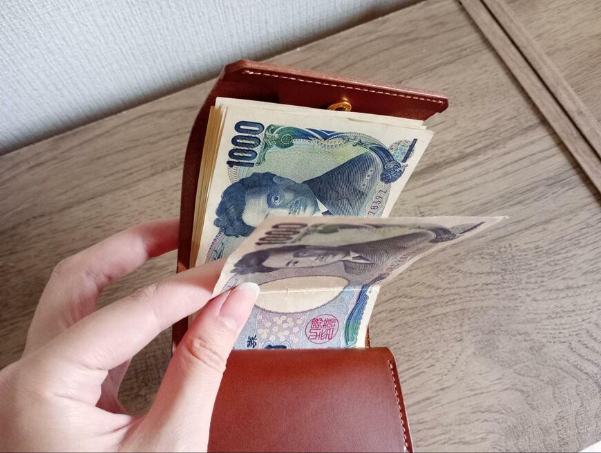 マクアケ、小さい財布miniS画像