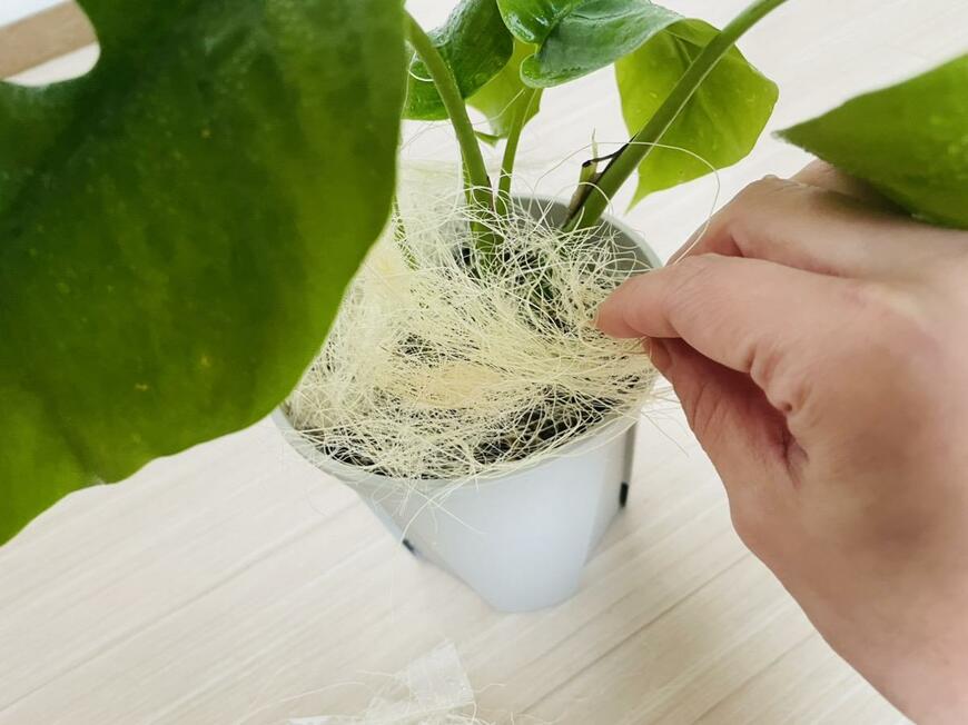 セリア「スリット鉢130mm」「ココナッツファイバー」