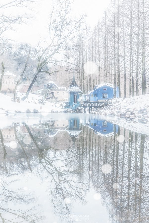 埼玉県で撮影された雪景色