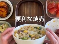 【在宅弁当】”チルドシュウマイ”を使った彩り弁当に「美味しそう」「ひと足お先に春がキタ～」の声