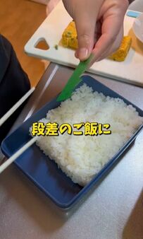 高校生男子が喜ぶ！「手羽中＆白身フライ弁当」おかずをたっぷり詰め込んだボリューム満点のお弁当が話題