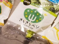 子どもが食べたくなると評判！「きらきらベジ」人気の秘密を解説、工場野菜だからこその魅力とは