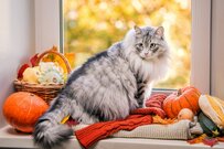 60代「貯蓄3000万円以上」の世帯は約2割。今から貯蓄を増やすためには？