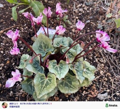 假屋崎省吾の公式ブログ投稿