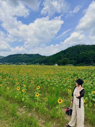出所：<u><a href="https://www.instagram.com/wakaba.s.21/p/DbWi1xTE2VQ/" target="_blank">@wakaba.s.21</a></u>