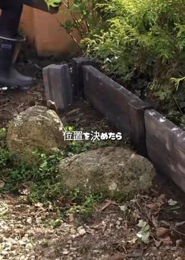 投稿動画のワンシーン