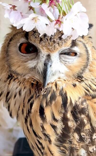 投稿動画のワンシーン