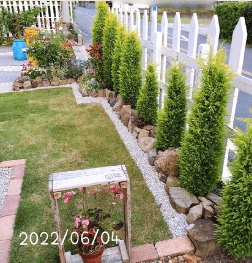 出所：きの子のDIYガーデン