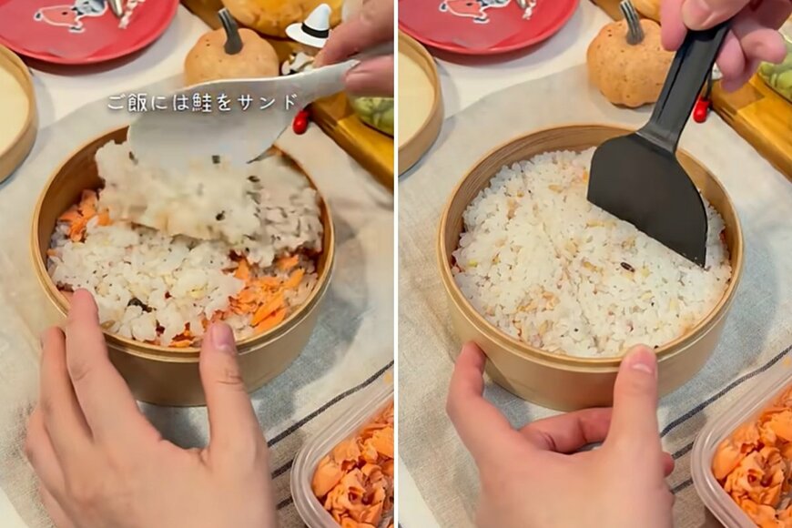 出所：@KINOKOTV-q4e