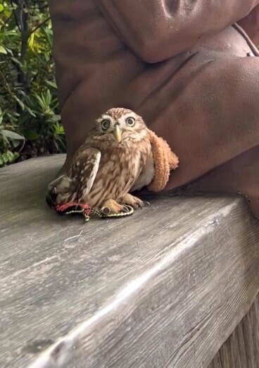 出所：@cr8673.hiro