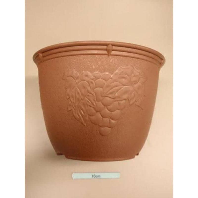 画像出所：キャンドゥ公式