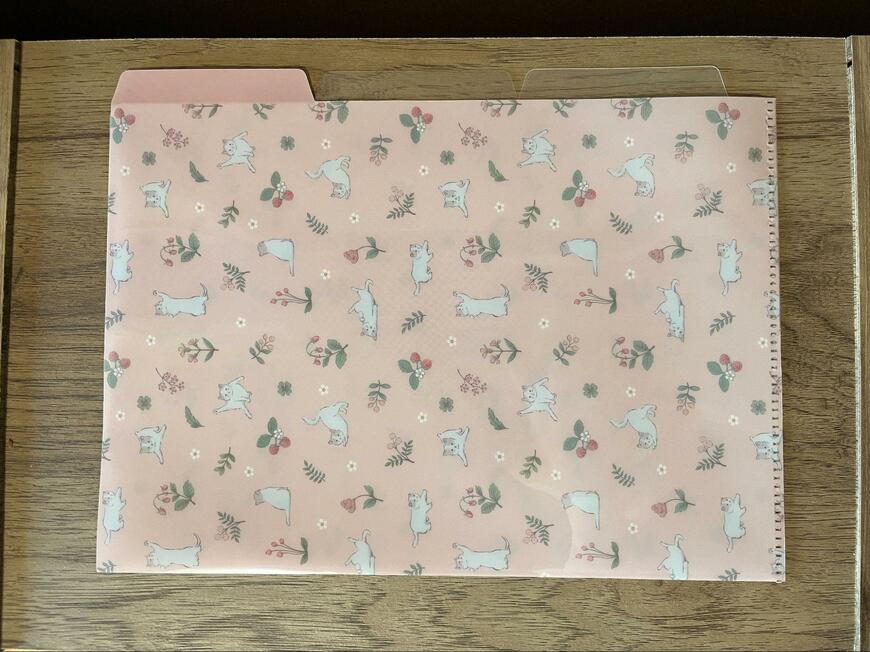 筆者撮影（セリア、LJP A4　クリアホルダー 3ポケットネコ）