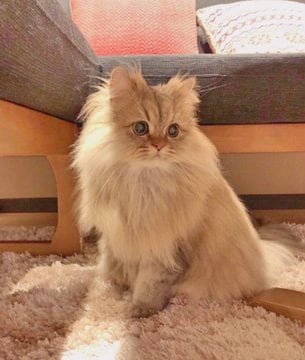 出所：@UphQepCv8J