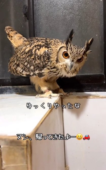 出所：@ba_chantolatte