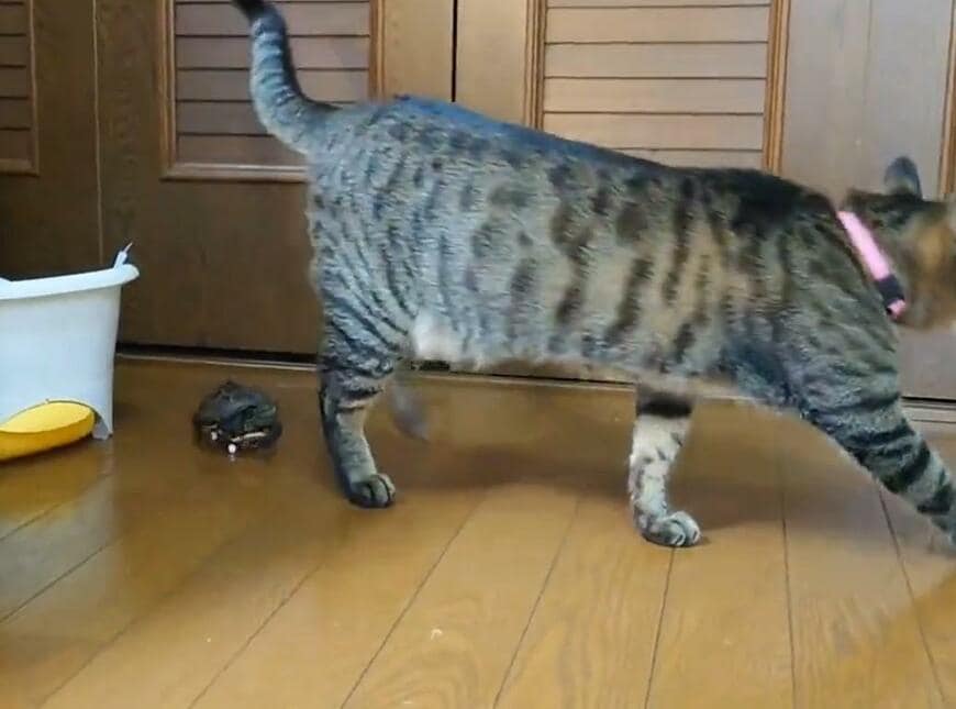 出所：@Mh0MLiErcV8E97C