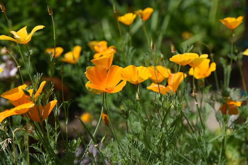 photoPOU/Shutterstock.com