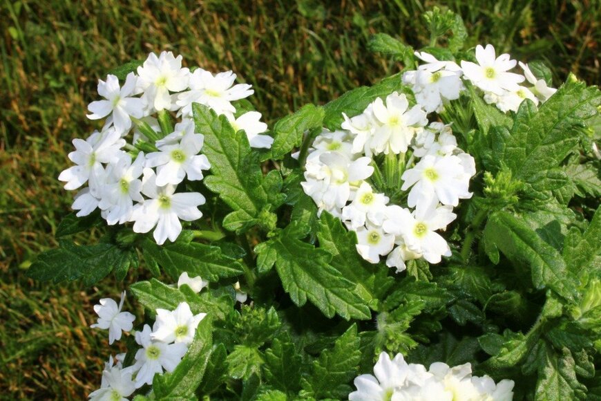 Martina Unbehauen/istockphoto.com