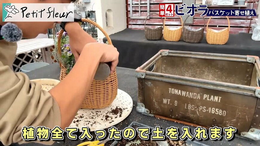 プチフルール 園芸Ch(@petit_fleur)さん投稿動画のキャプチャ