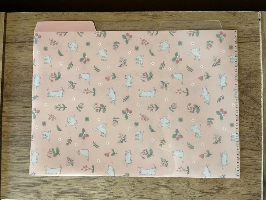 セリア、LJP A4　クリアホルダー 3ポケットネコの画像