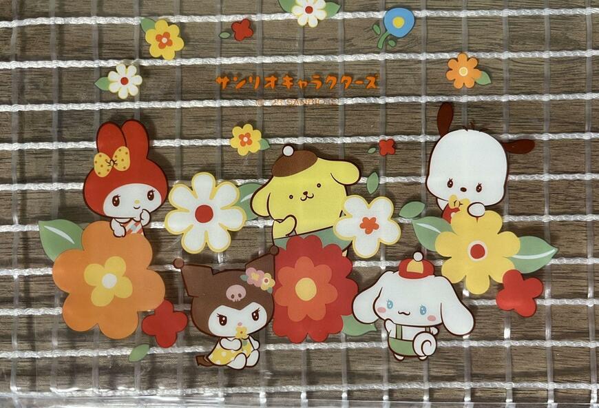 ダイソー、PVCメッシュケース B6 サンリオレトロ 画像