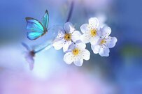 【年金一覧表】60歳代・70歳代・80歳代の「国民年金＆厚生年金」の平均月額はいくら？