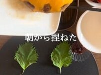 【在宅弁当】どうしてもハンバーグを食べたくて作った彩り弁当に「朝から捏ねるなんて尊敬」の声