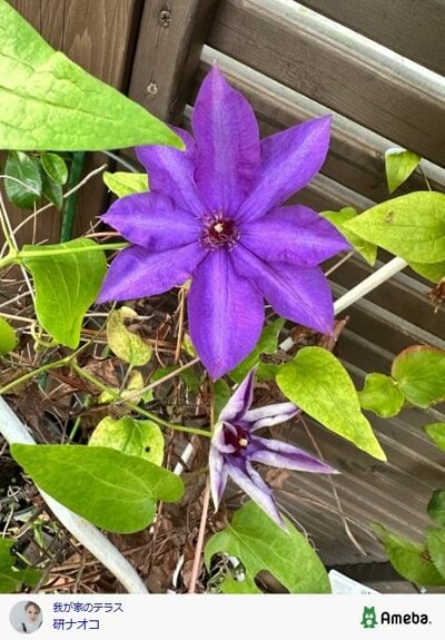 研ナオコが投稿した写真