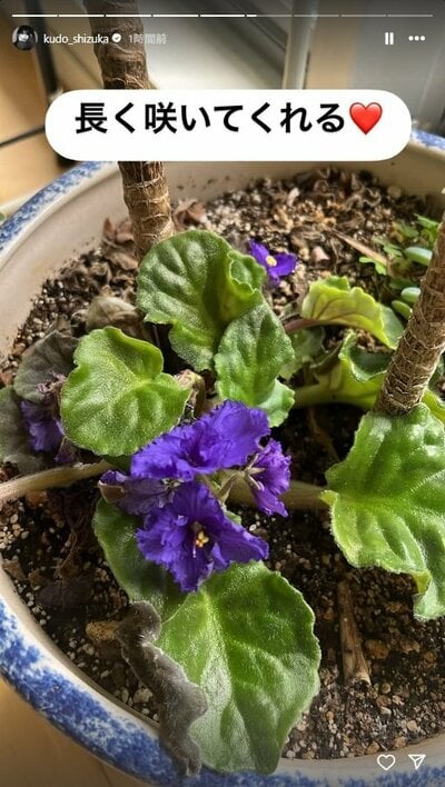 工藤静香のInstagram投稿