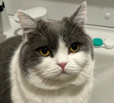 「はやく戻ってくるのですよ」