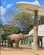 【神戸市立王子動物園】「ポチッとな」自分でボタンを押すアジアゾウが賢すぎる「シャワーが気持ちいい季節が来たね」（兵庫県）