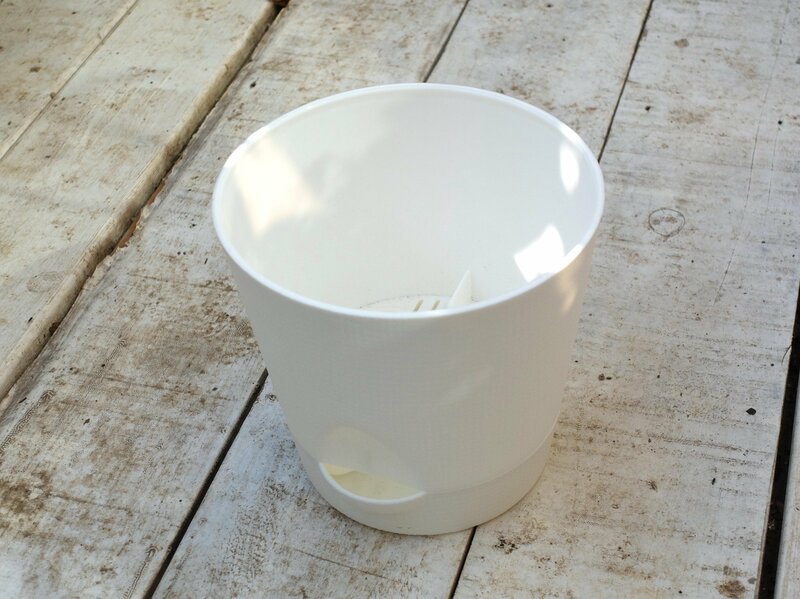 ダイソー、組み立て植木鉢筆者撮影写真