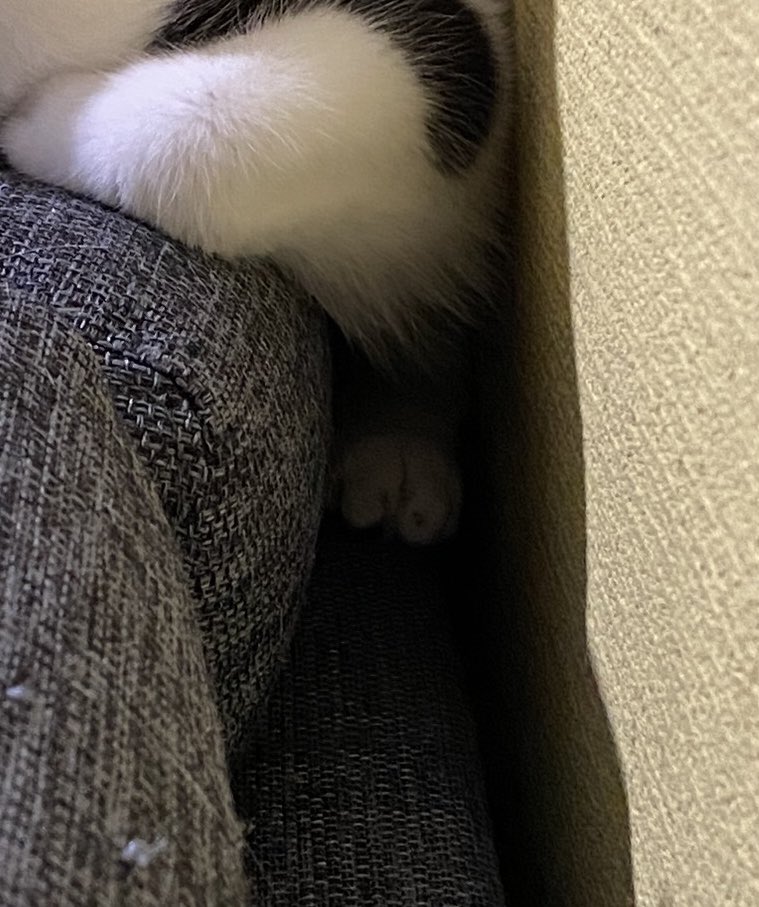 出所：@00shitemita