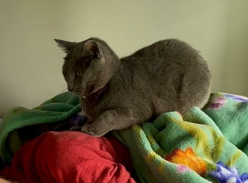 出所：@luna7taka9