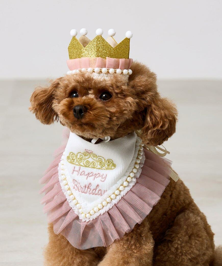 出所：パルグループ公式ファッション通販サイト 3COINS スタイ&王冠セット