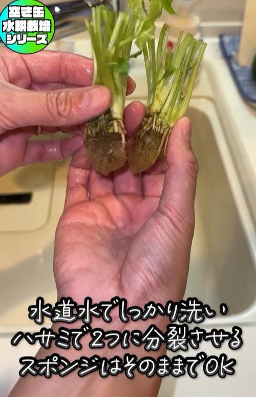 出所：@mikanbo_ya19_87