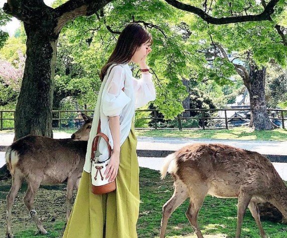 夏におすすめのひとり旅！ 観光とグルメを楽しむ5つのスポットに「行きやすい」「まったりできる」