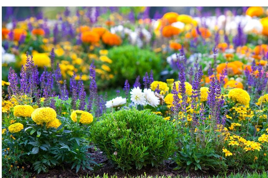 dvoevnore/istockphoto.com