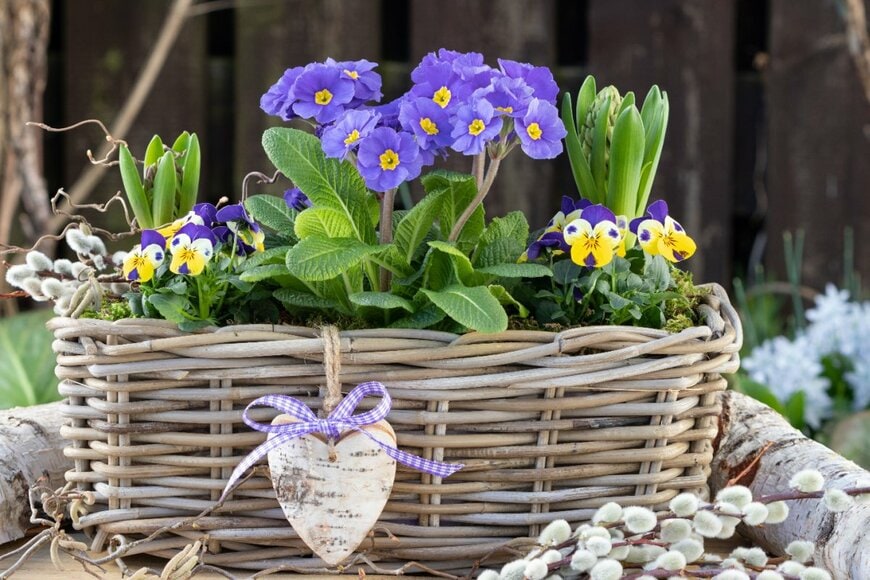 Natalia Greeske/shutterstock.com