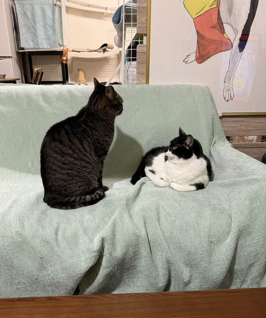 出所：@00shitemita