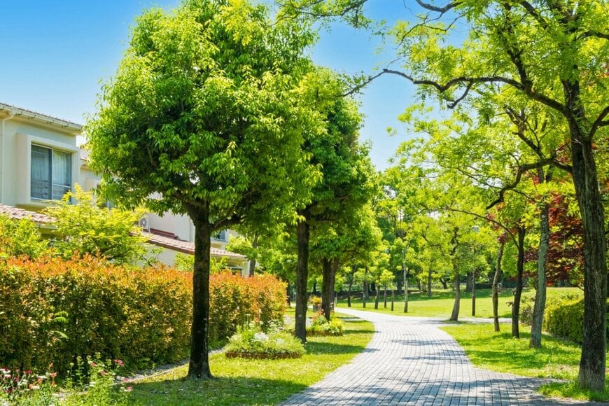 「大体毎日これ」帰りたい犬と帰りたくない犬の戦いに「これは大変」「お仲間ですね」と共感の声