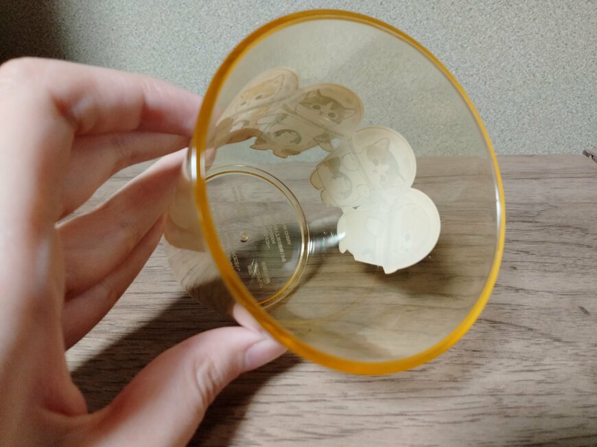 筆者撮影（セリア、mofusand プラコップ）